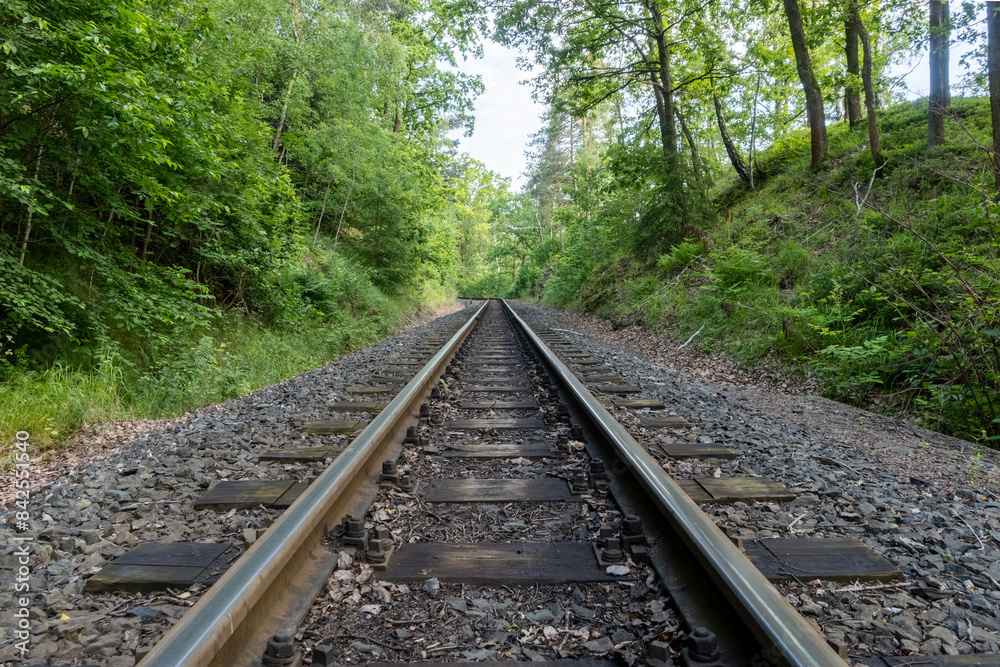 Narrow gauge railway tracks with oily oak wooden sleepers in the forest, saxony, travel Germany Narrow gauge railway tracks with oily oak wooden sleepers in the forest, saxony, travel Germany