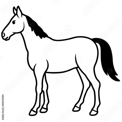 Wallpaper Mural horse illustration Torontodigital.ca