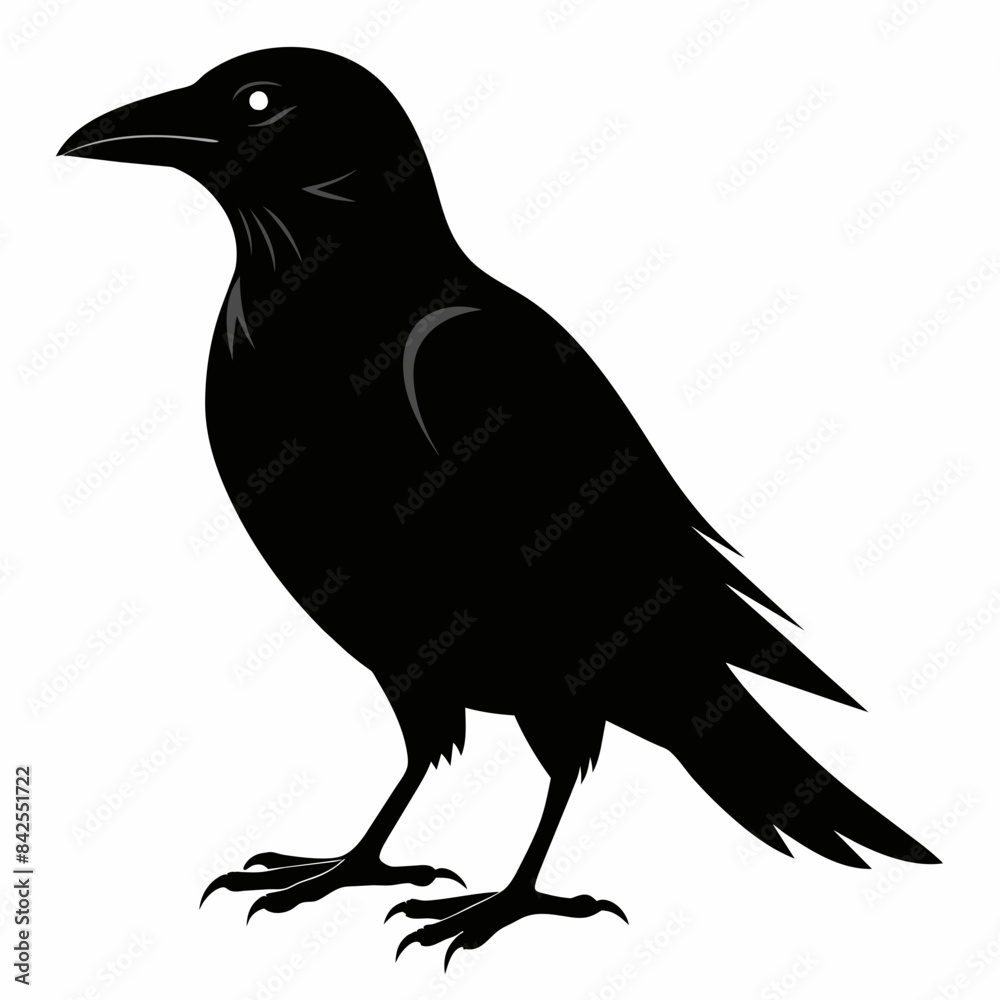 Fototapeta premium crow on white