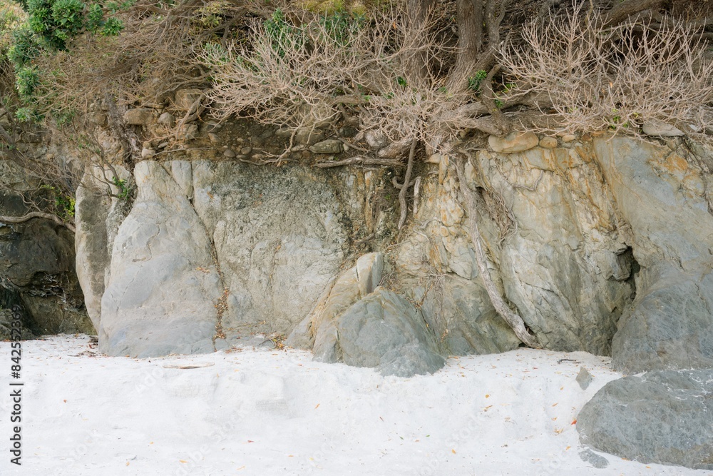Coastal Erosion Landscape with rocks and plant roots. Coastal Erosion Landscape with rocks and plant roots.