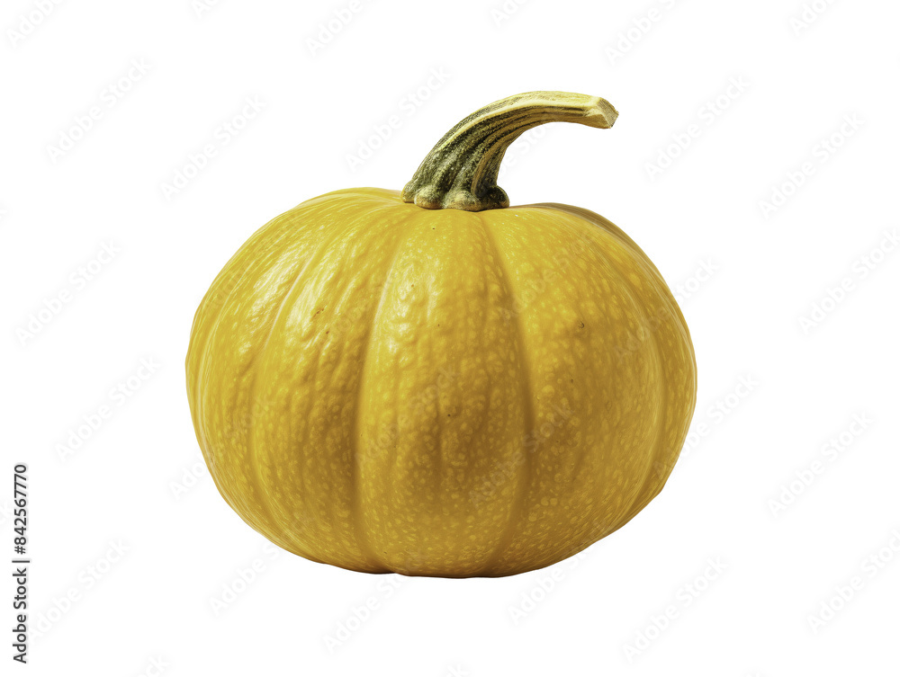 a yellow pumpkin with a stem a yellow pumpkin with a stem