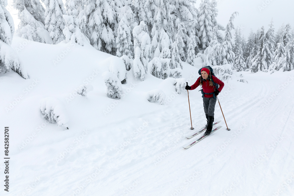 Cross country skier skiing beside snow covered trees on route to the summit of Mount Amablis, Okanogan-Wenatchee National Forest, Washington, USA. January, 2023. Model released. Cross country skier skiing beside snow covered trees on route to the summit of Mount Amablis, Okanogan-Wenatchee National Forest, Washington, USA. January, 2023. Model released.