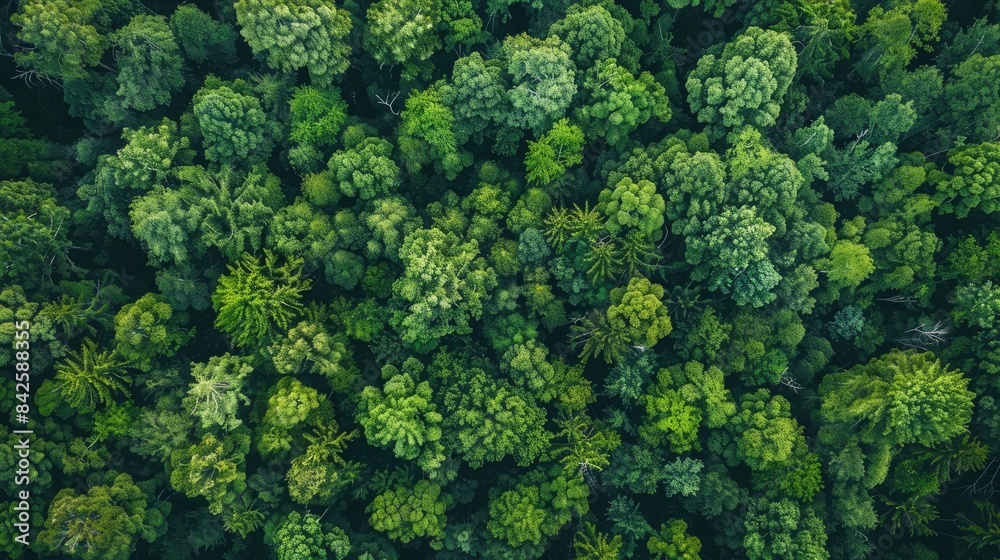 Earth covered in lush green foliage, symbolizing environmental consciousness and sustainability Earth covered in lush green foliage, symbolizing environmental consciousness and sustainability