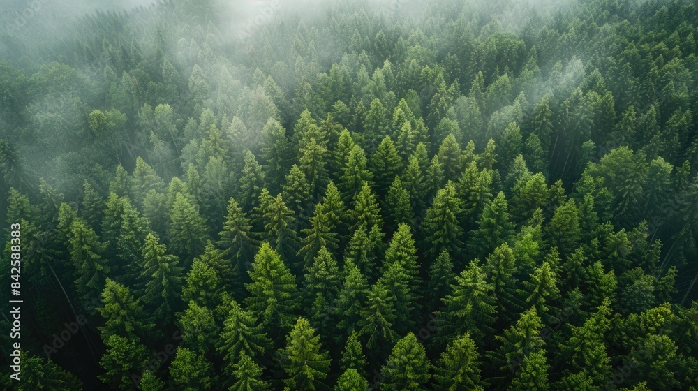 Earth covered in lush green foliage, symbolizing environmental consciousness and sustainability Earth covered in lush green foliage, symbolizing environmental consciousness and sustainability