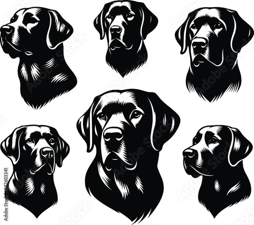 Labrador Retriever Face Silhouette black head vector Isolated on transparent background