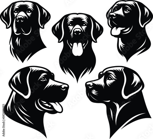 Labrador Retriever Face Silhouette black head vector Isolated on transparent background