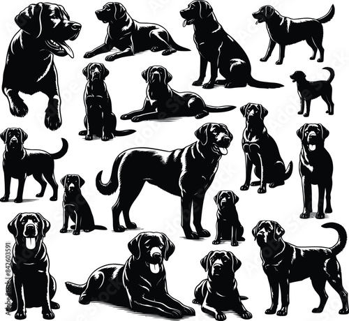 Labrador Retriever  Silhouette black head vector Isolated on transparent background