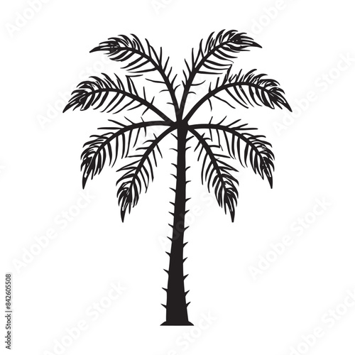 Palm tree silhouette vector illustration