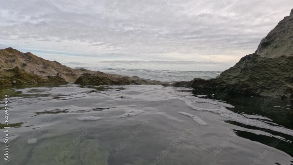 Exploring a Rockpool's Underwater World Exploring a Rockpool's Underwater World