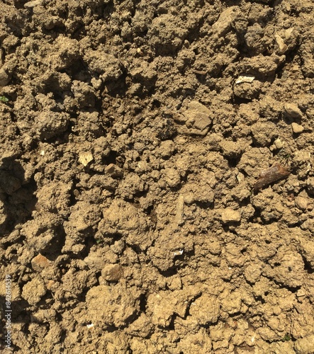 Arid Earth: Textured Dry Cracked Soil Surface - Environmental Concerns