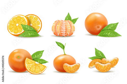 Slice citrus. Orange, mandarin fruit half cut and whole. Juice fresh, green leaf, c vitamin acid. Ripe natural food, tropical dieting, tangerine composition. Vector 3d realistic isolated illustration