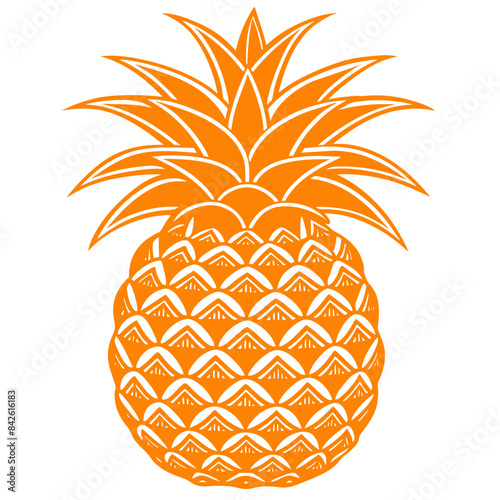 illustration of a pineapple photo
