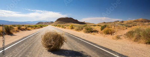 A tumbleweed rolling over an empty desert road under a clear sky. photo