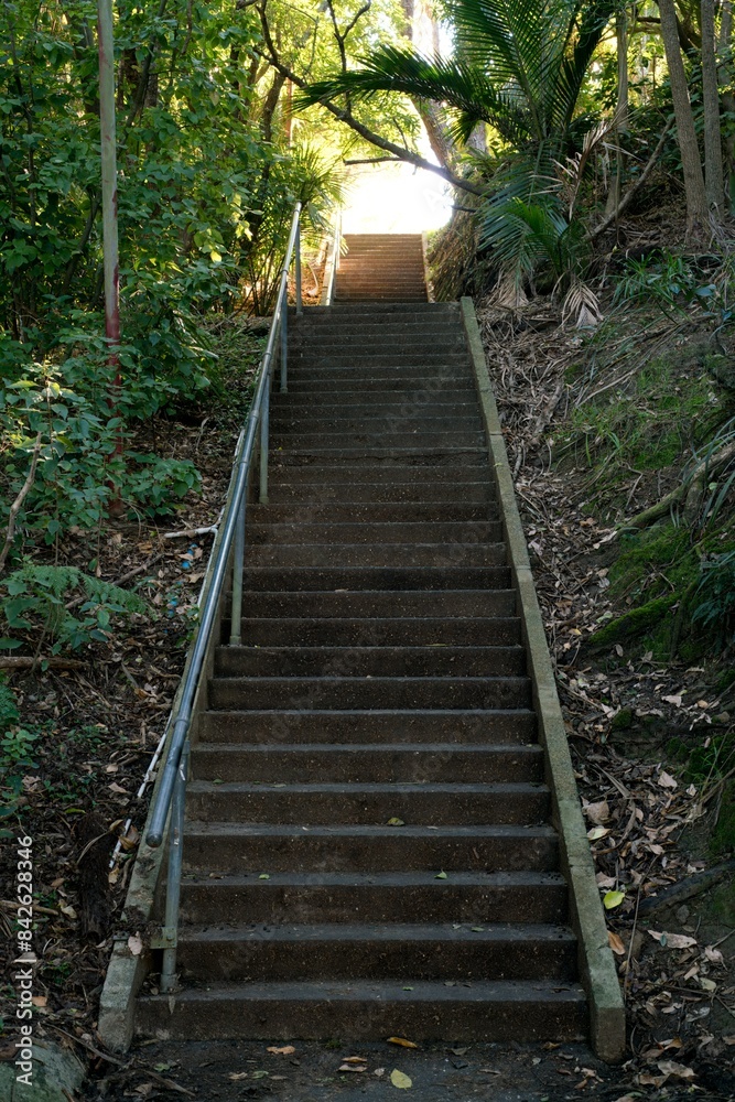 Stairs in the forest Stairs in the forest