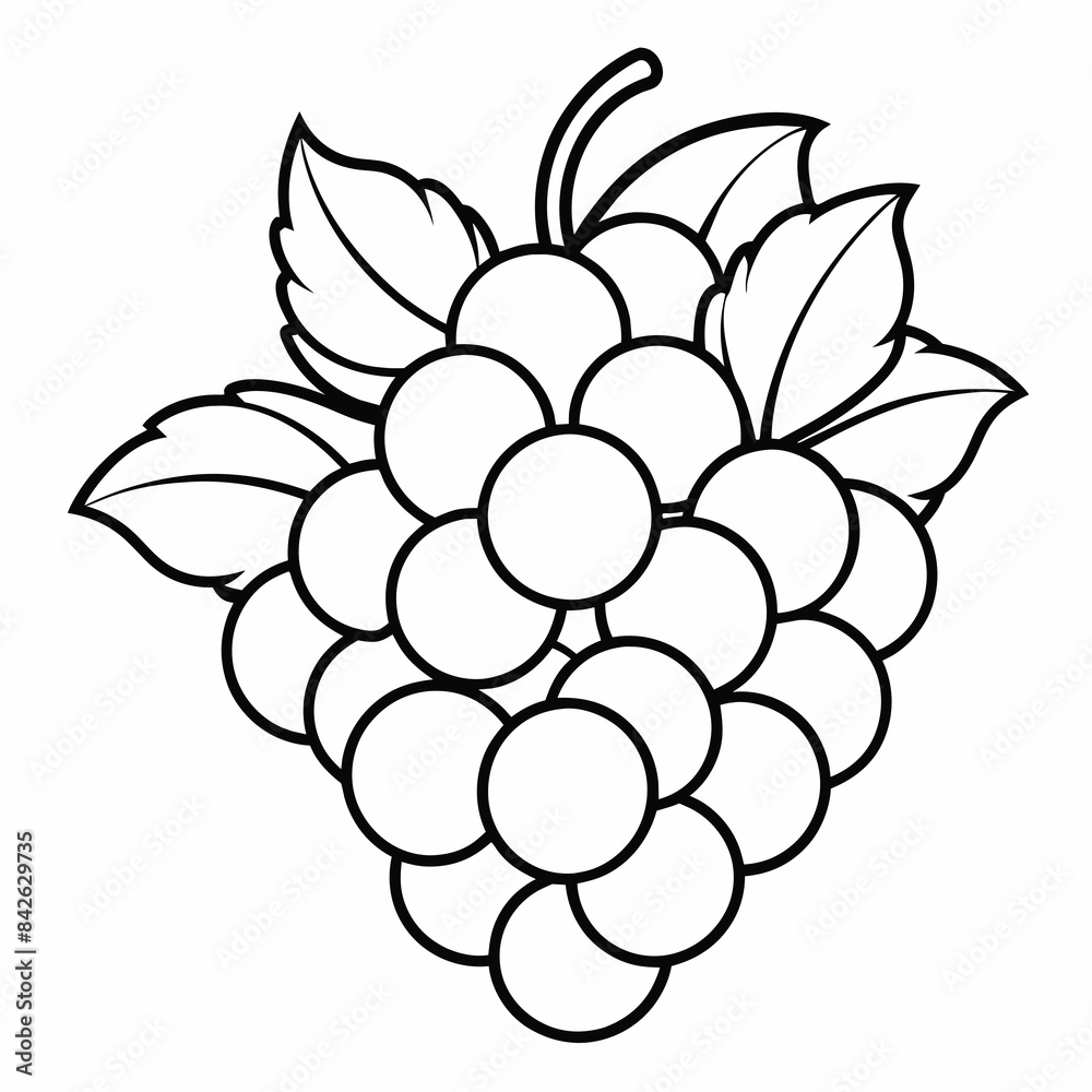 A bunch of grapes with leaves line art vector illustration 