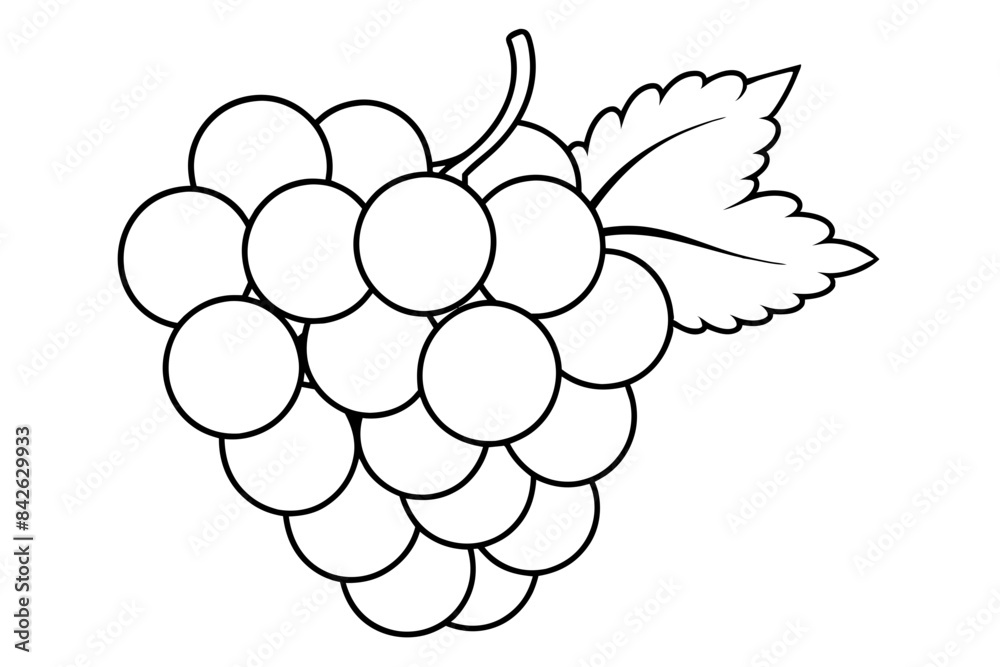 A bunch of grapes with leaves line art vector illustration A bunch of grapes with leaves line art vector illustration