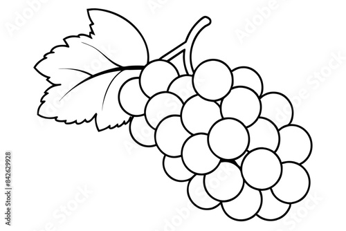A bunch of grapes with leaves line art vector illustration 