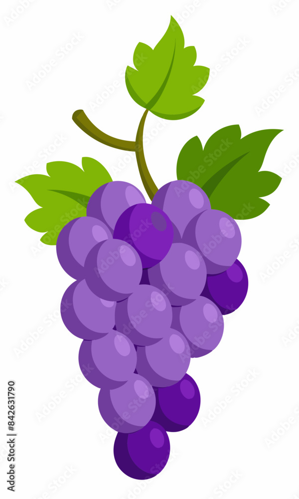 A bunch of grapes with leaves vector illustration A bunch of grapes with leaves vector illustration