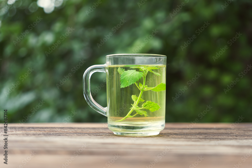 Fresh natural green melissa herbal tea in glass cup. Organic aromatherapy relaxation medical healthy beverage. Rustic wooden table background. style natural light. Fresh natural green melissa herbal tea in glass cup. Organic aromatherapy relaxation medical healthy beverage. Rustic wooden table background. style natural light.