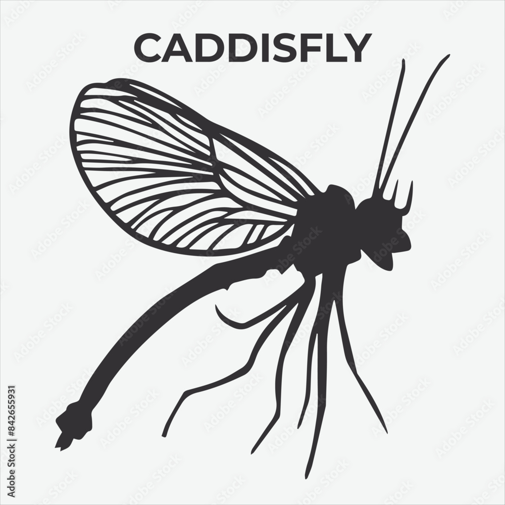 A Distinctive Caddisfly Silhouette for Multi-Format Design Projects. Vector Illustration A Distinctive Caddisfly Silhouette for Multi-Format Design Projects. Vector Illustration