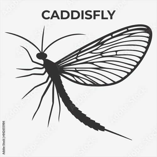 A Distinctive Caddisfly Silhouette for Multi-Format Design Projects. Vector Illustration