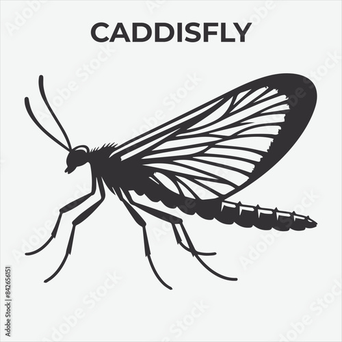 A Clear and Bold Caddisfly Silhouette for Versatile Applications. Vector Illustration