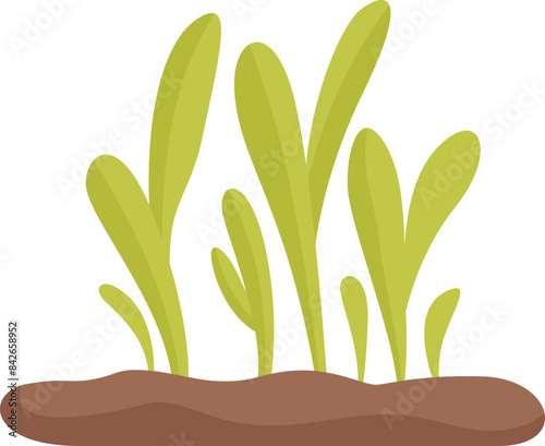 Green seedlings growing from fertile soil, representing new life and growth