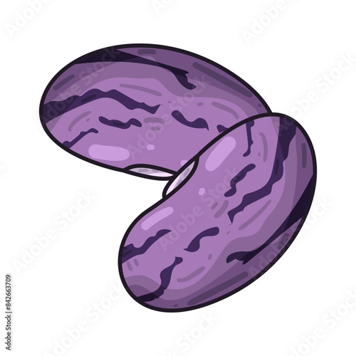 Bean Illustration