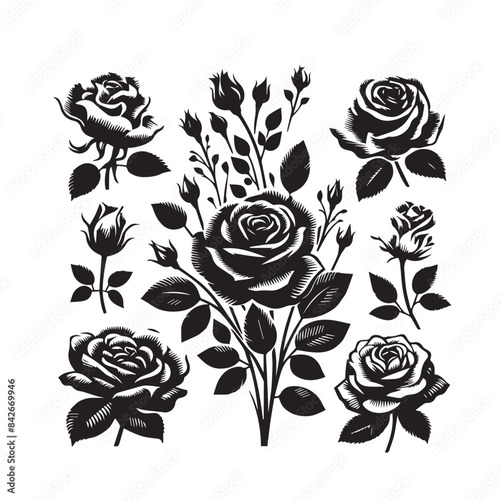 Collection set of lavender violet stalk of rose roses flower silhouette , Collection set of lavender violet stalk of rose roses flower silhouette ,