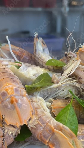 Odontodactylus scyllarus is a species of large predatory stomatopod crustacean from the family Odontodactylidae. Boiled sea mantis photo