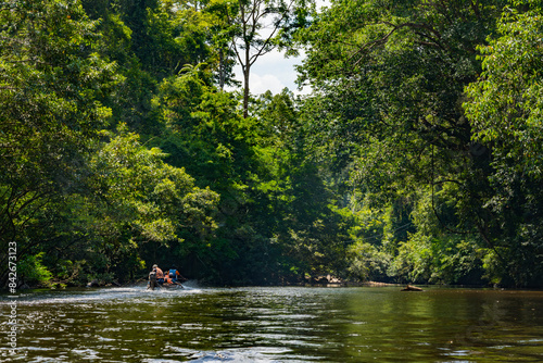 Tahan River and Green Jungle Nature of Taman Negara National Park, Malaysia photo