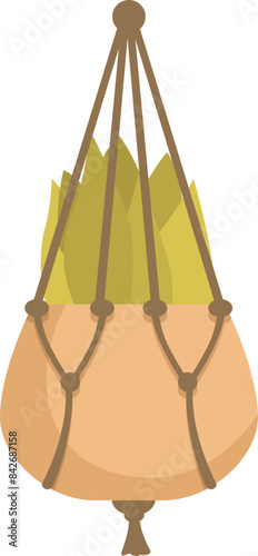 Potted plant is hanging from the ceiling in a macrame plant hanger