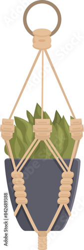 Macrame plant hanger showing a succulent growing in a pot hanging from the ceiling