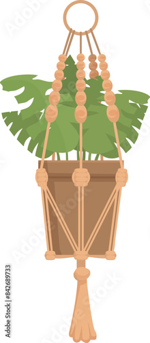 Monstera deliciosa is growing in a terracotta pot hanging from the ceiling in a macrame plant hanger