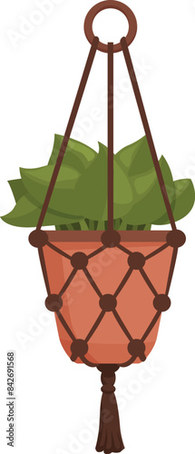 Green, healthy house plant is bringing a touch of nature to a home with its macrame plant hanger