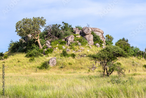 Tanzania - Serengeti National Park - Kopje in the savannah photo