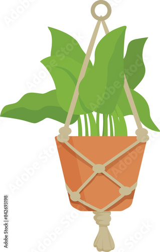 Green houseplant hanging in macrame plant hanger is bringing nature indoors