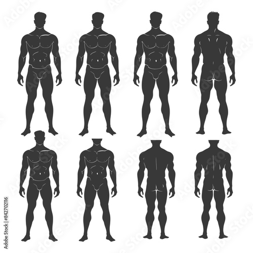 Anatomical Mannequin Silhouettes: Front & Back, Male Form Studies