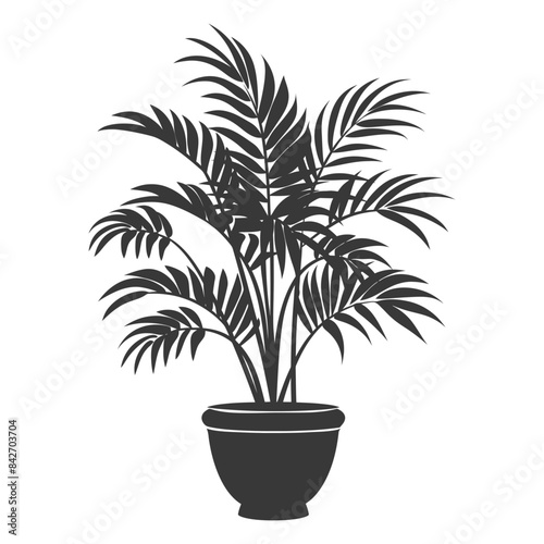silhouette ornamental plants in pot full body black color only