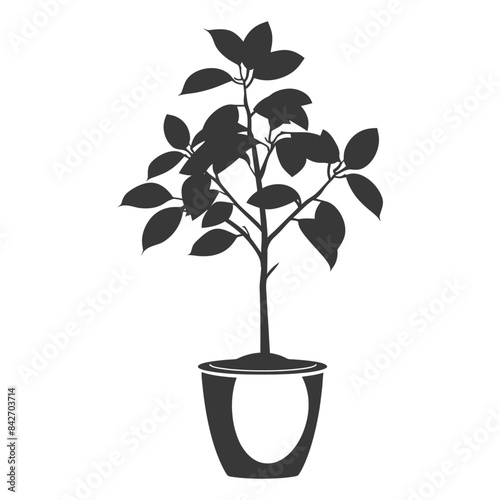 silhouette ornamental plants in pot full body black color only