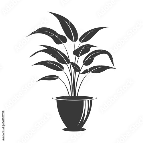 silhouette ornamental plants in pot full body black color only