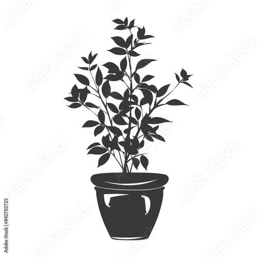 silhouette ornamental plants in pot full body black color only