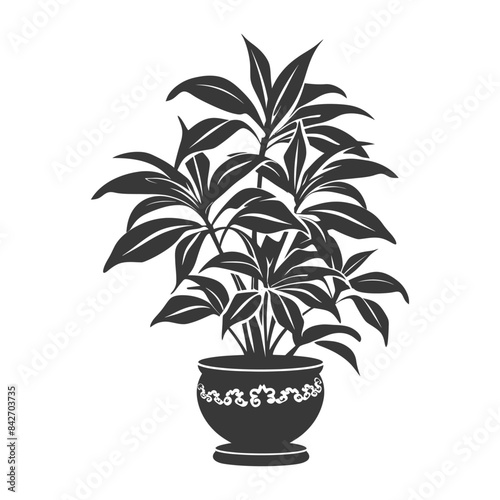 silhouette ornamental plants in pot full body black color only