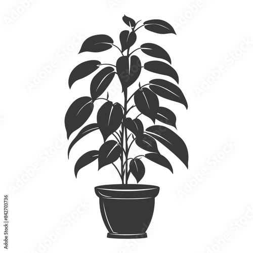 silhouette ornamental plants in pot full body black color only