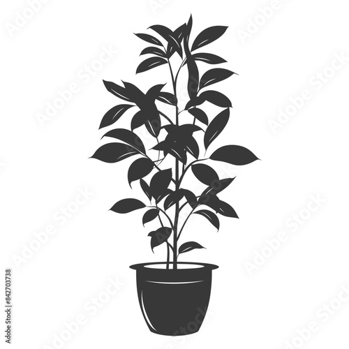 silhouette ornamental plants in pot full body black color only