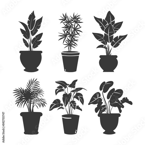silhouette ornamental plants in pot full body black color only