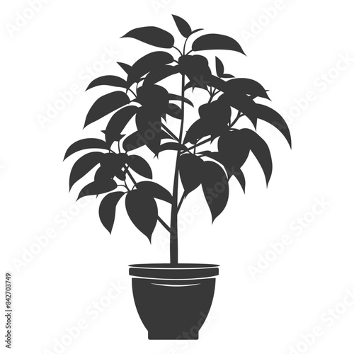 silhouette ornamental plants in pot full body black color only
