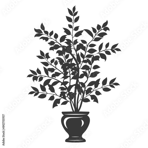 silhouette ornamental plants in vase full body black color only