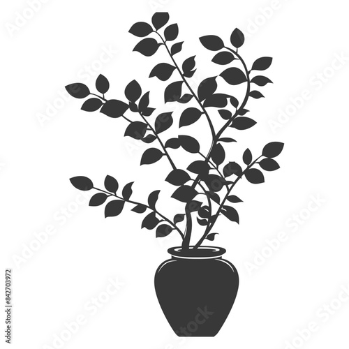 silhouette ornamental plants in vase full body black color only