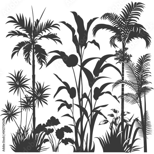 Tropical Flora Silhouettes: Exotic Palms, Banana Plants, and Foliage Group.